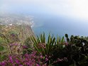 Madeira (107)